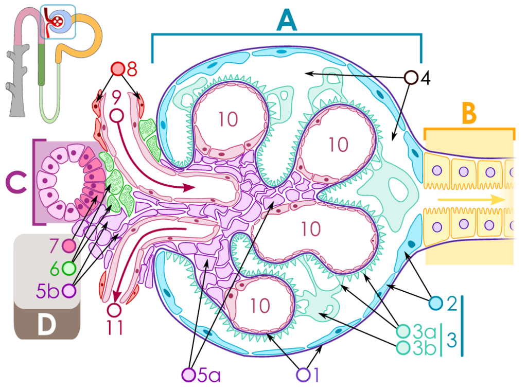 Lesson image