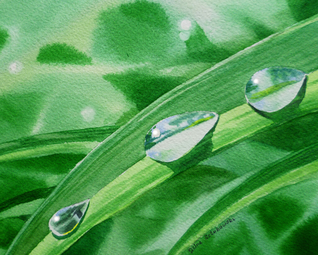 Lesson image