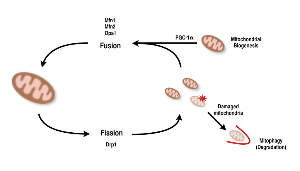 Lesson image