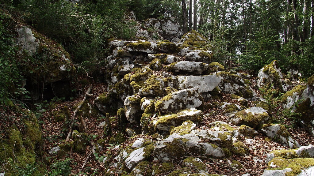 Lesson image