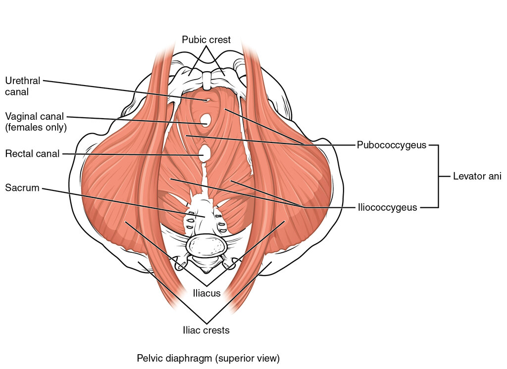 Lesson image