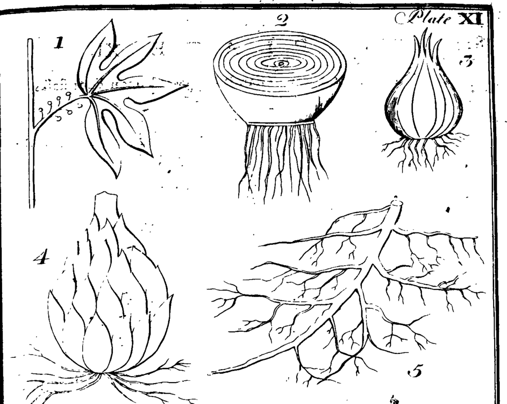 Lesson image