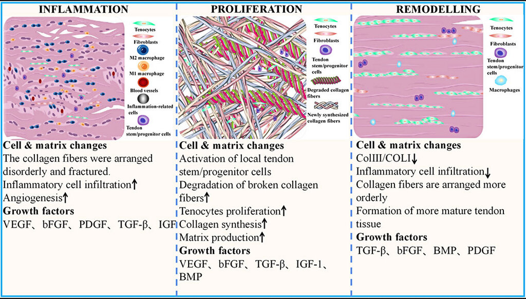 Lesson image