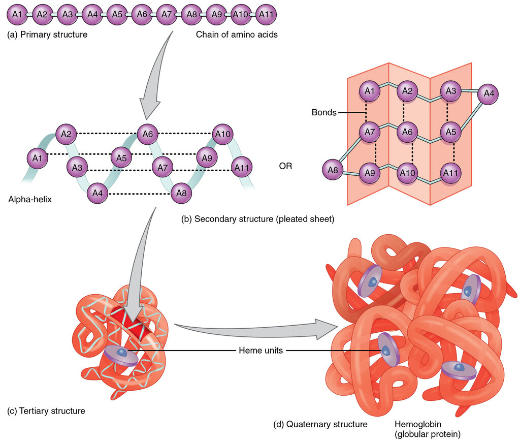 Lesson image