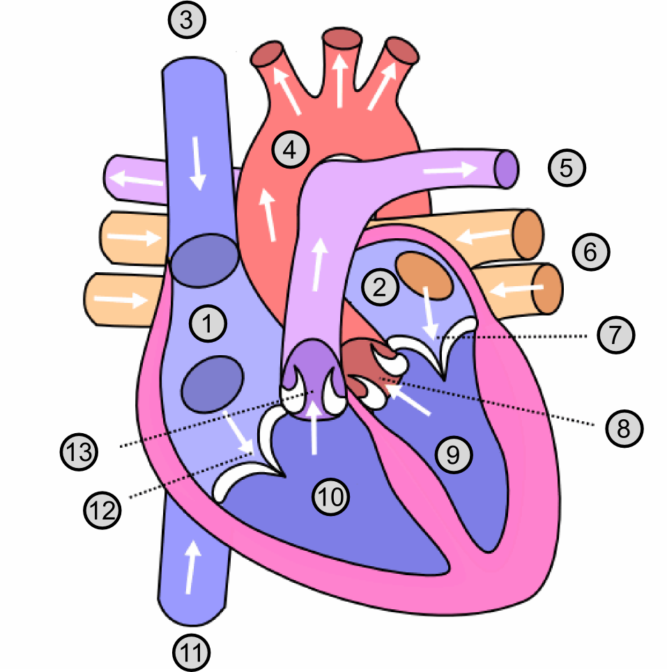 Lesson image