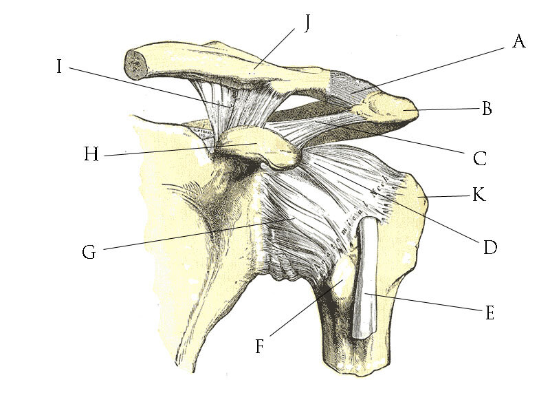 Lesson image