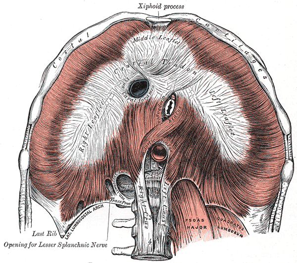 Lesson image