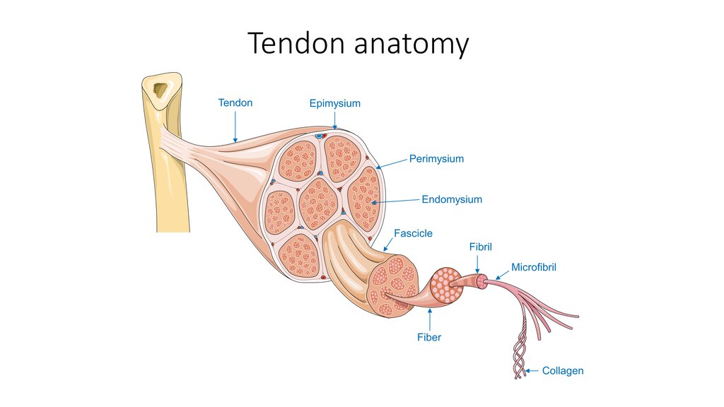 Lesson image