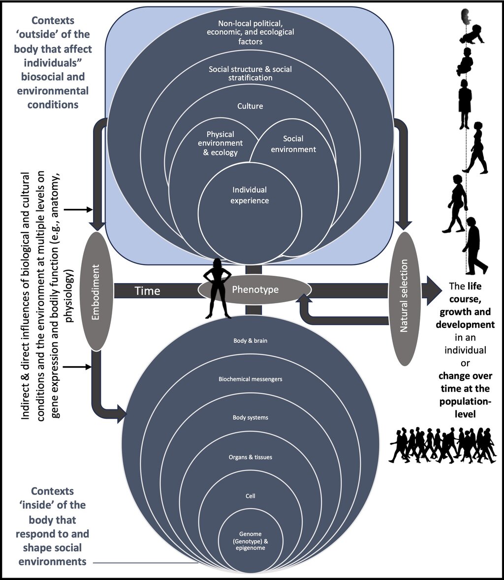Lesson image