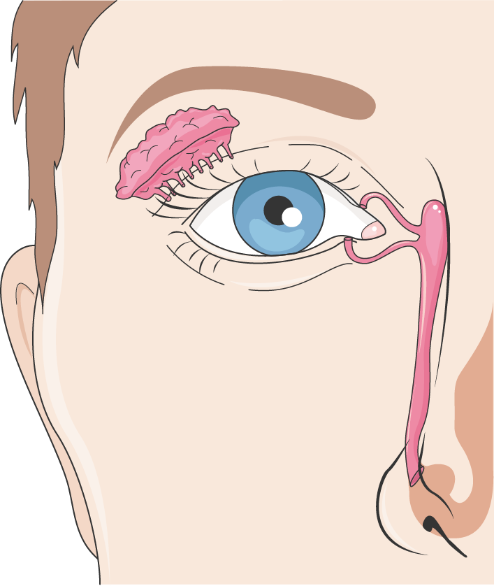 Lesson image