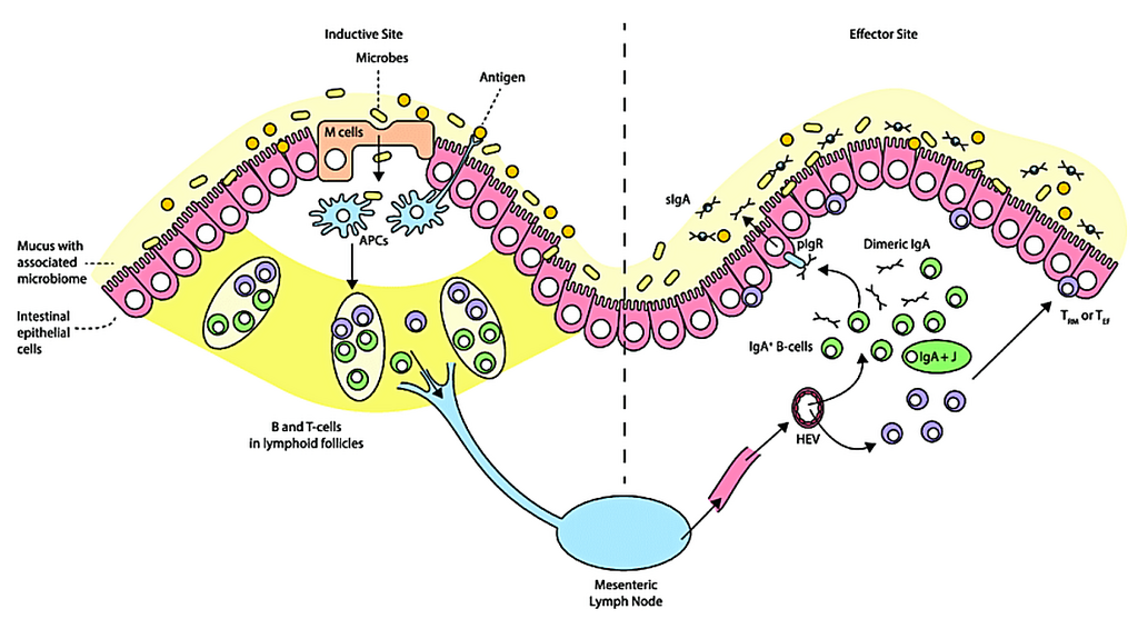Lesson image