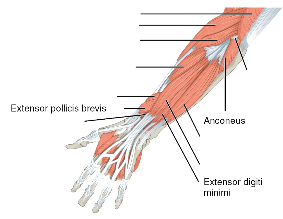 Lesson image