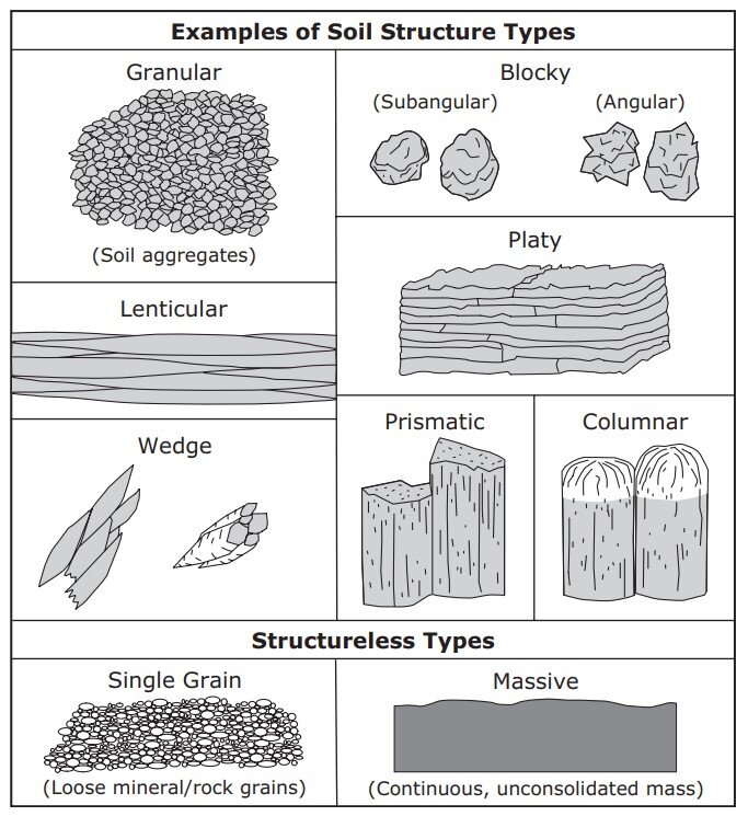 Lesson image