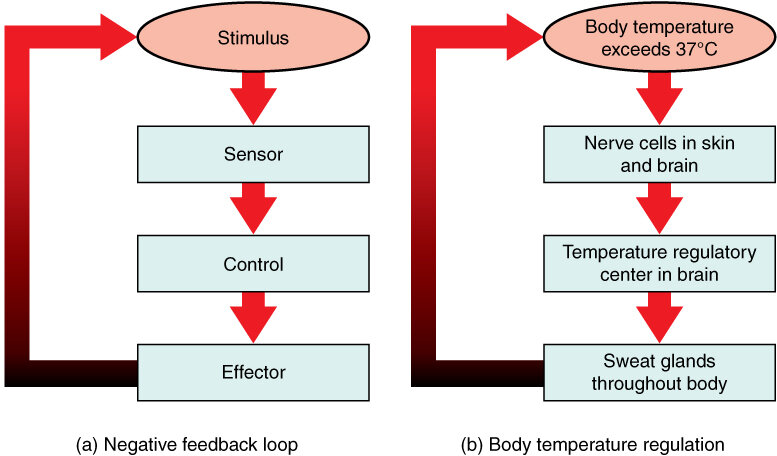 Lesson image