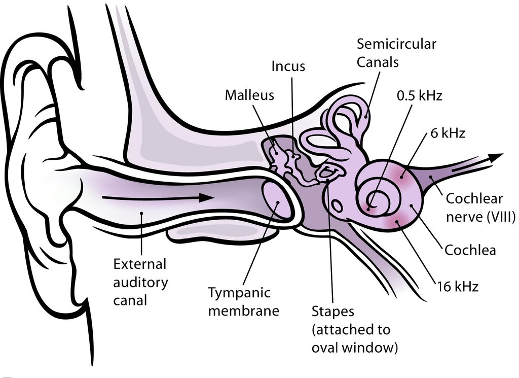 Lesson image