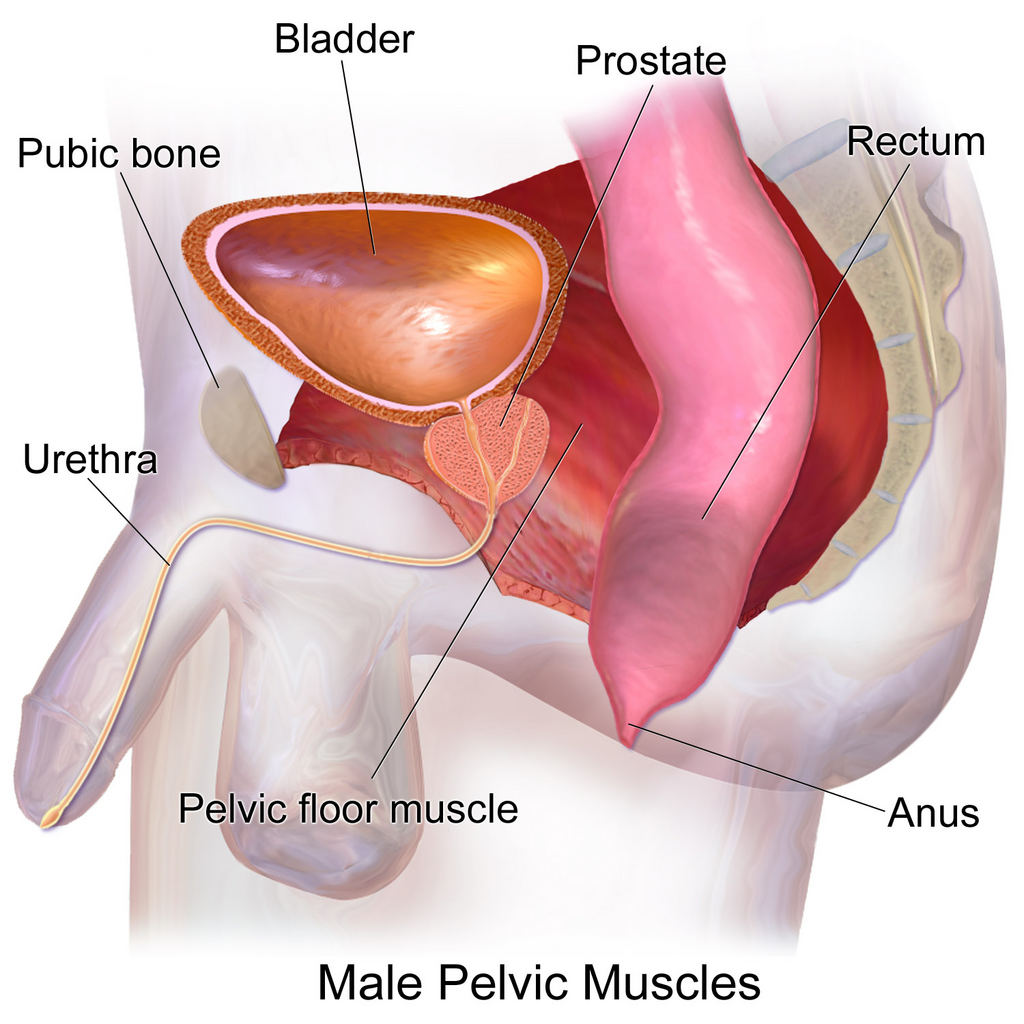 Lesson image