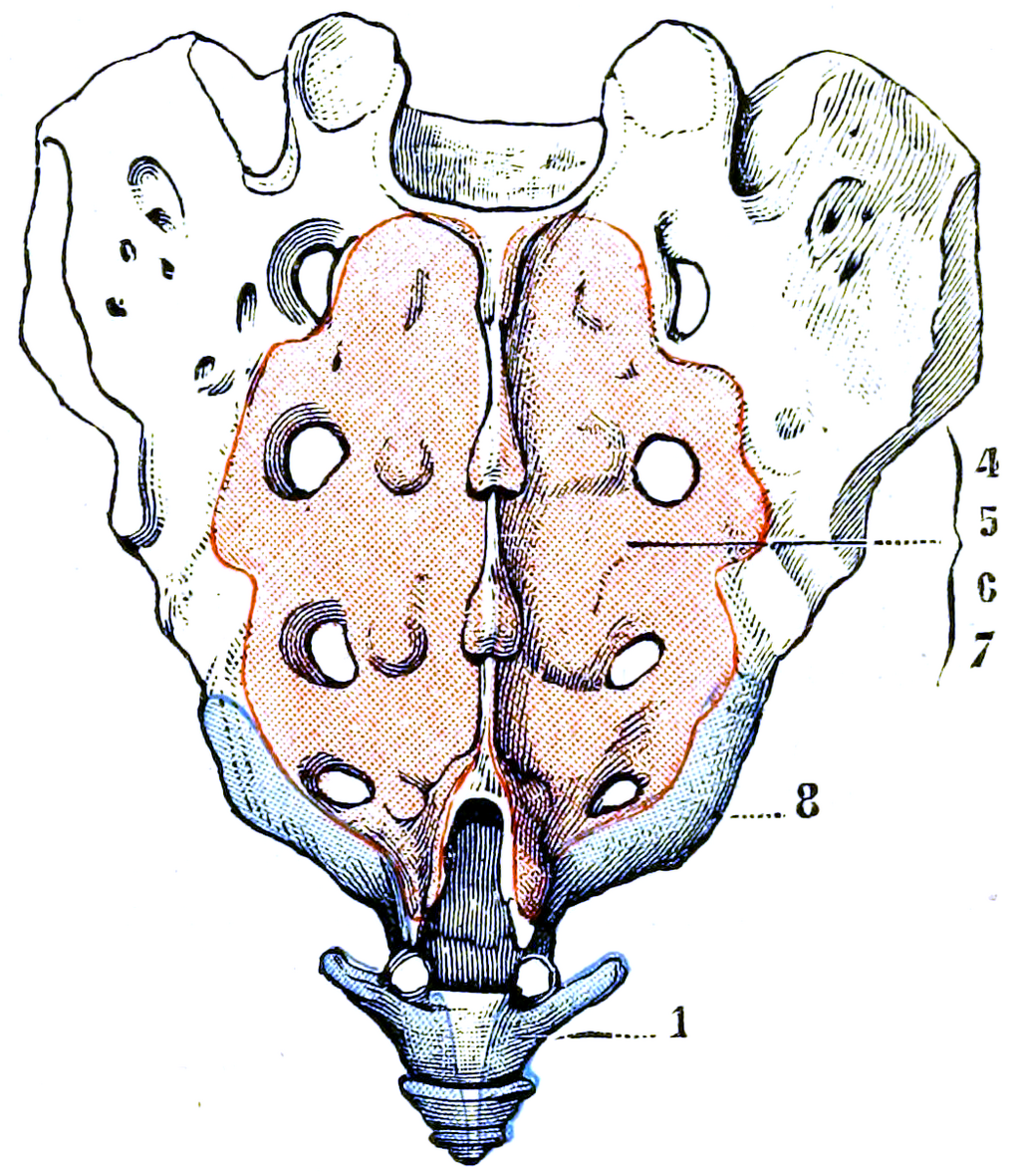 Lesson image