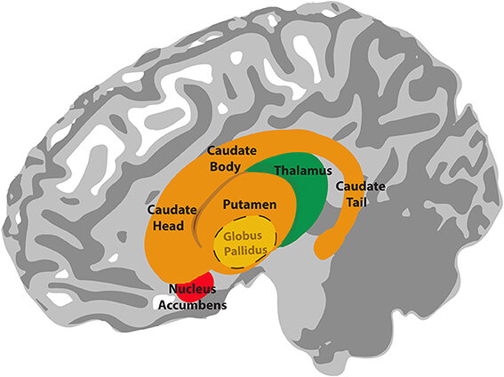 Lesson image