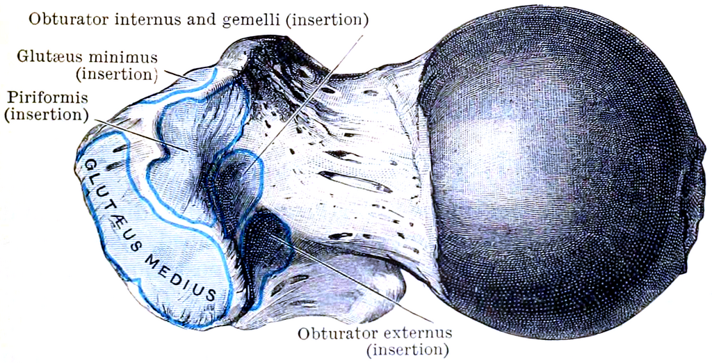 Lesson image