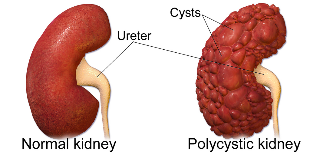 Lesson image