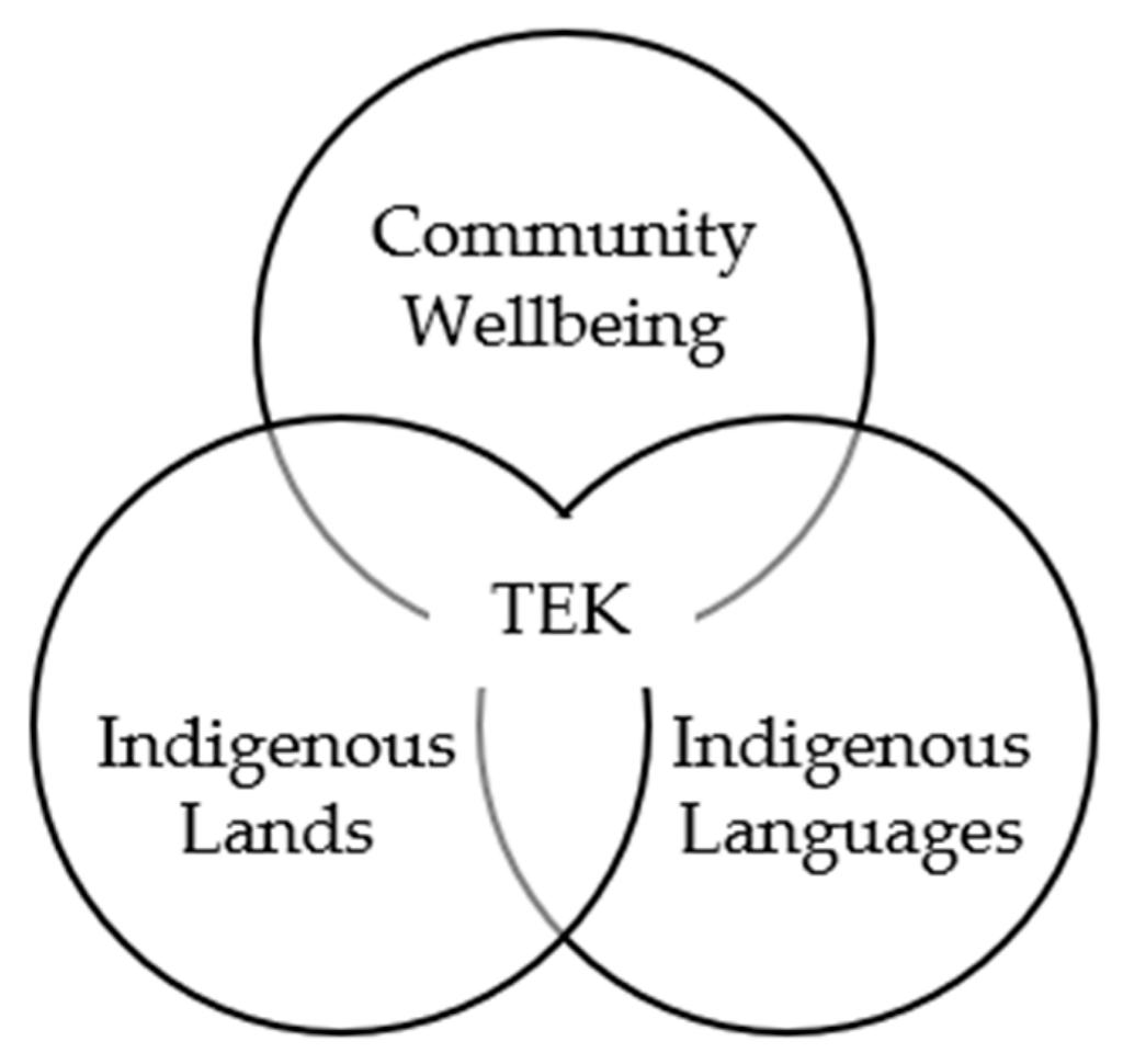 Lesson image