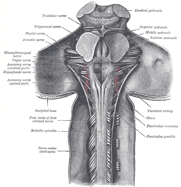 Lesson image