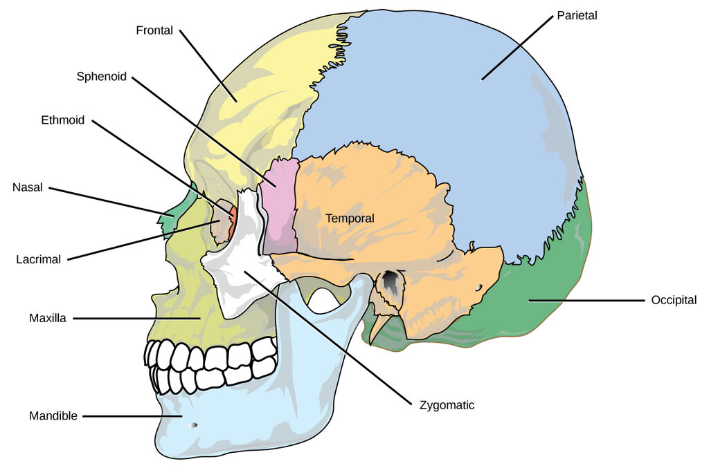 Lesson image
