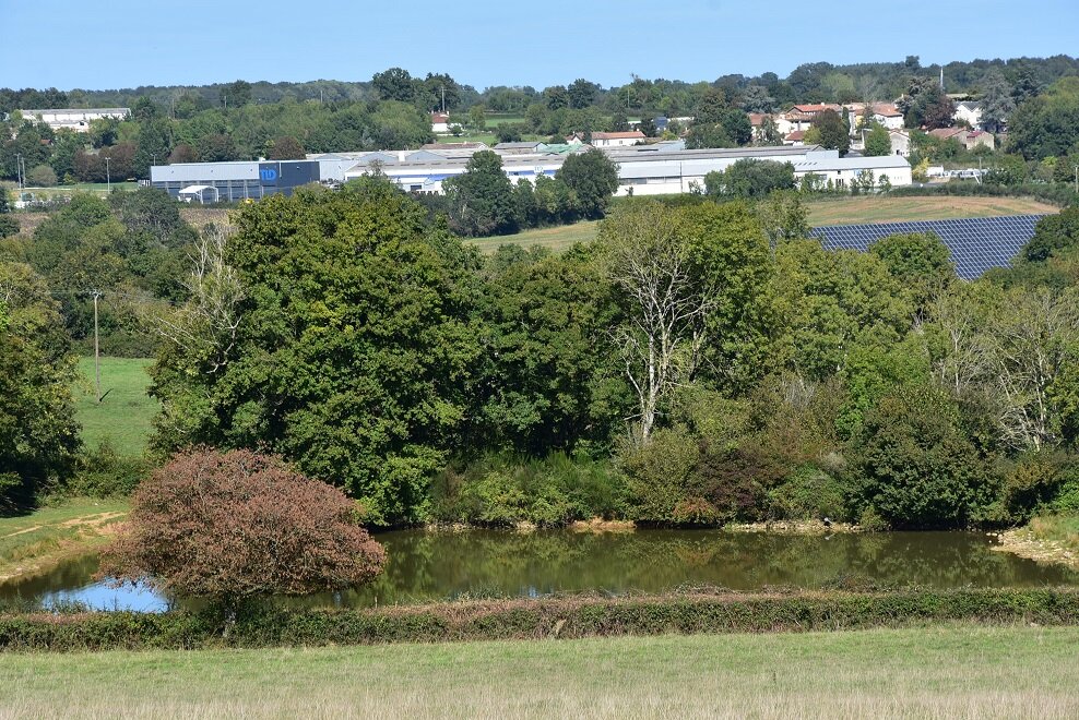 Lesson image