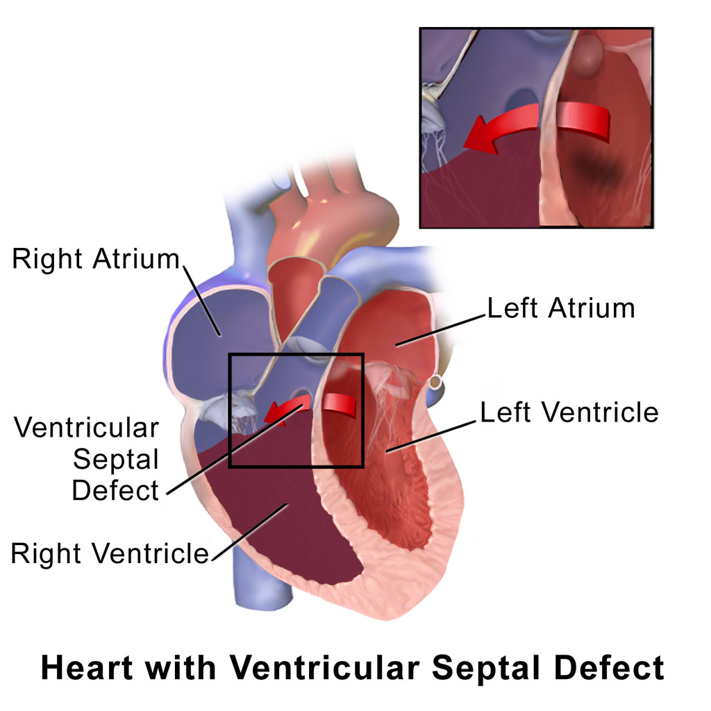 Lesson image