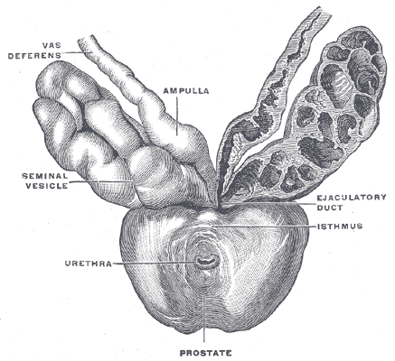 Lesson image