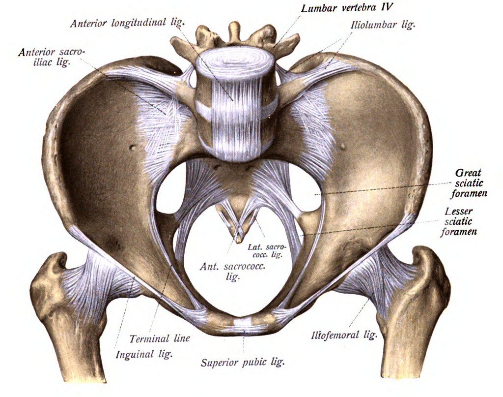 Lesson image