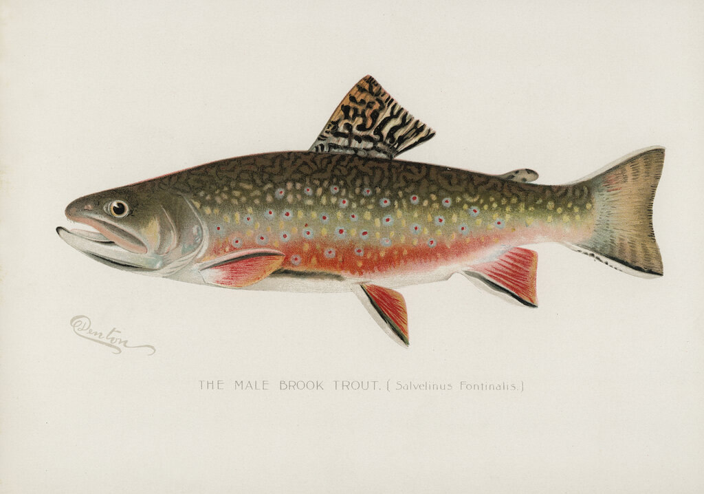 Lesson image