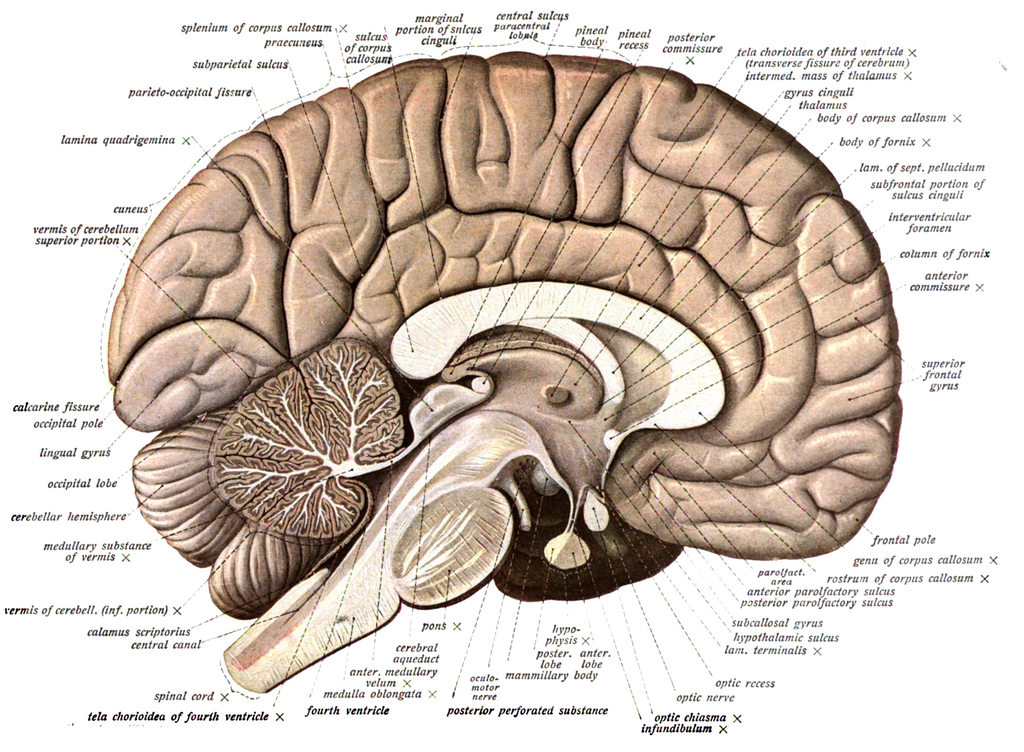 Lesson image
