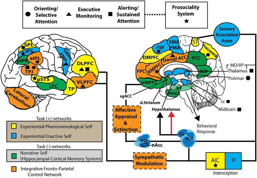 Lesson image