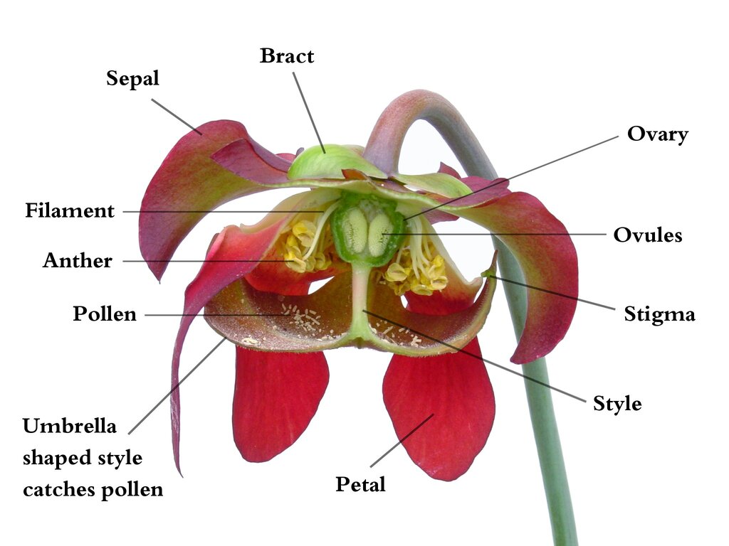 Lesson image