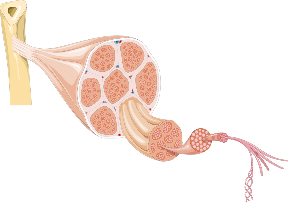 Lesson image