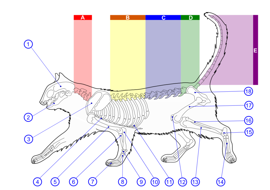 Lesson image