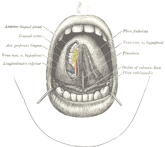 Lesson image