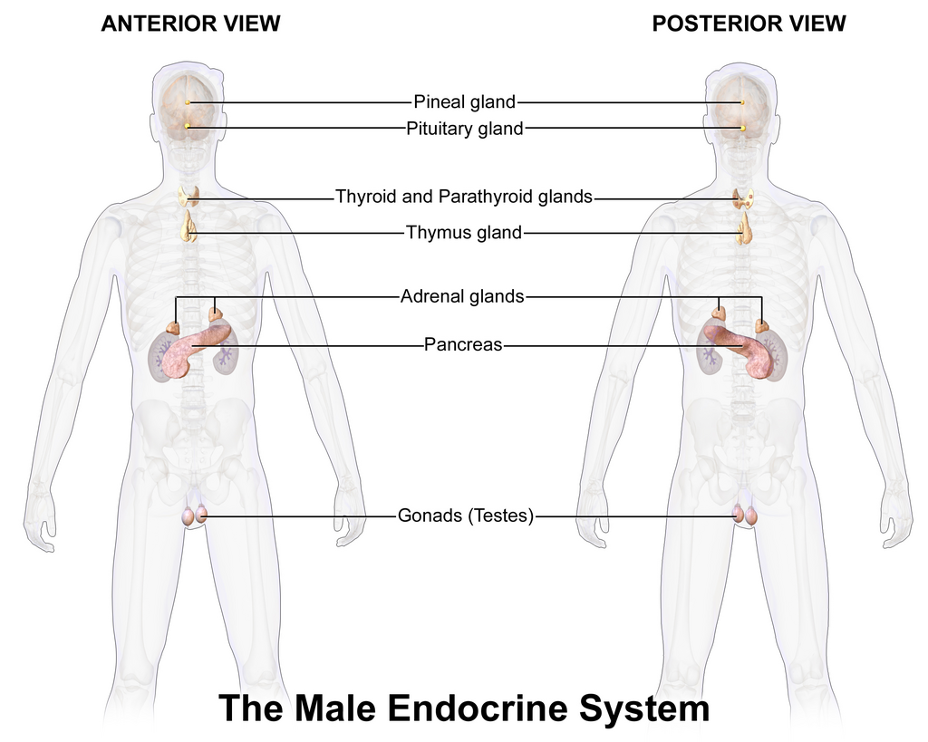 Lesson image