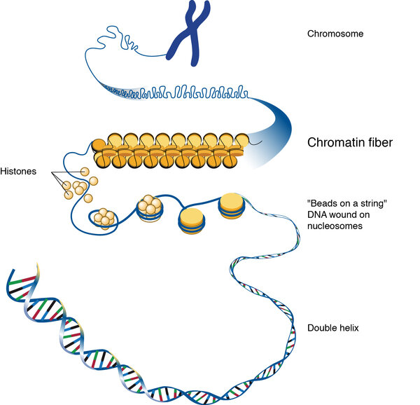 Lesson image