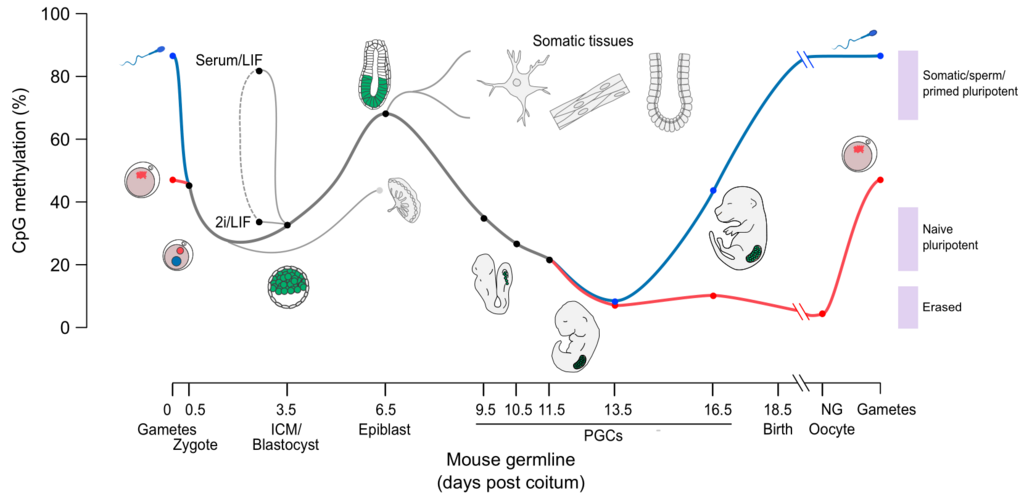 Lesson image