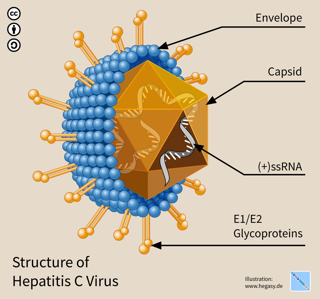 Lesson image