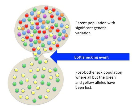 Lesson image