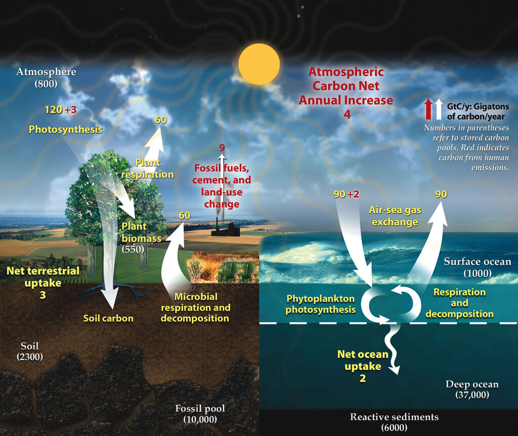 Lesson image
