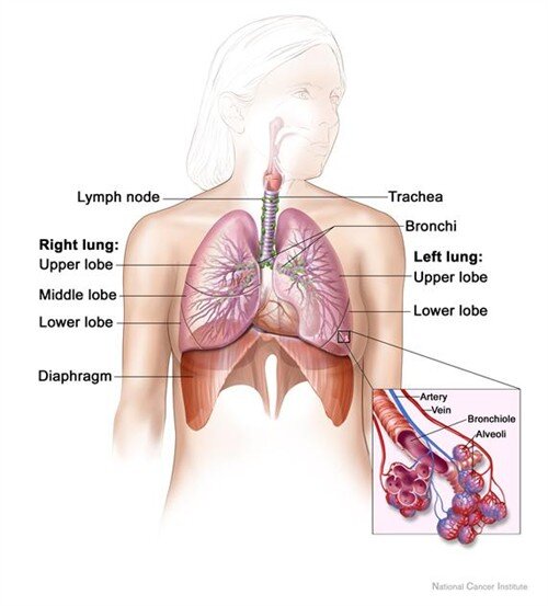 Lesson image