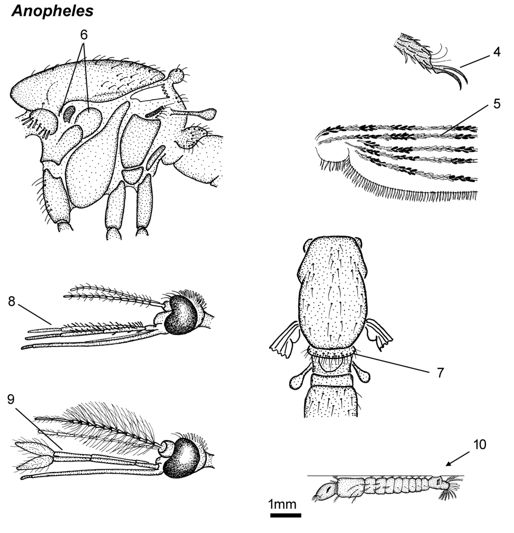 Lesson image