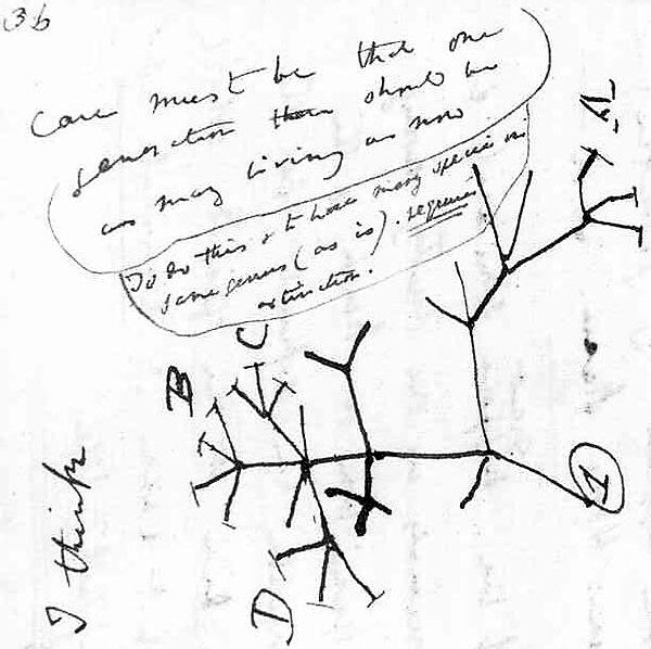 Lesson image