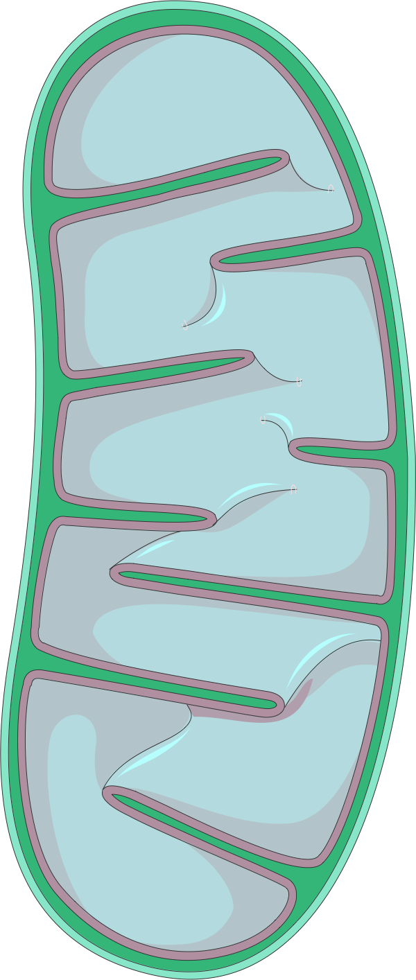 Lesson image