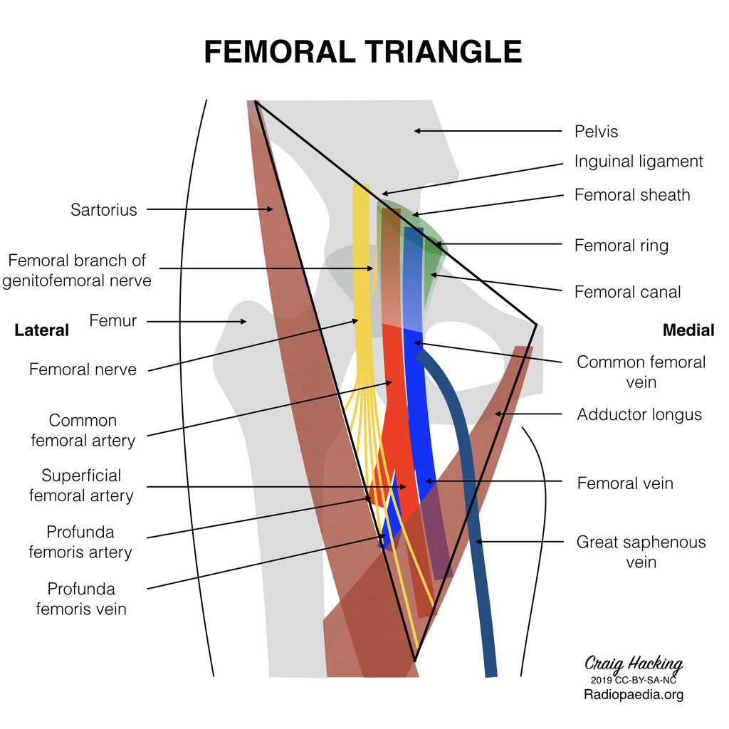Lesson image