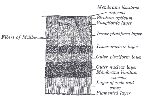 Lesson image